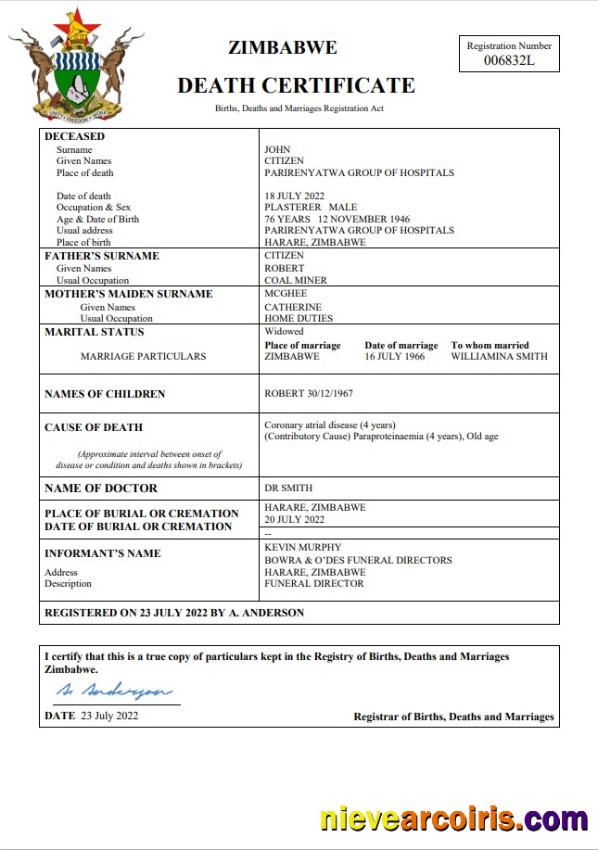 Zimbabwe vital record death certificate